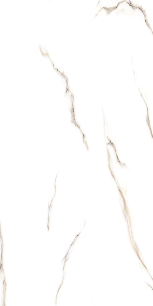 LAVINA WHITE R1